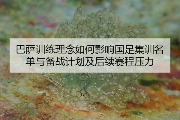ba-sa-xun-lian-li-nian-ru-he-ying-xiang-guo-zu-ji-xun-ming-dan-yu-bei-zhan-ji-hua-ji-hou-xu-sai-cheng-ya-li-2-334.jpg