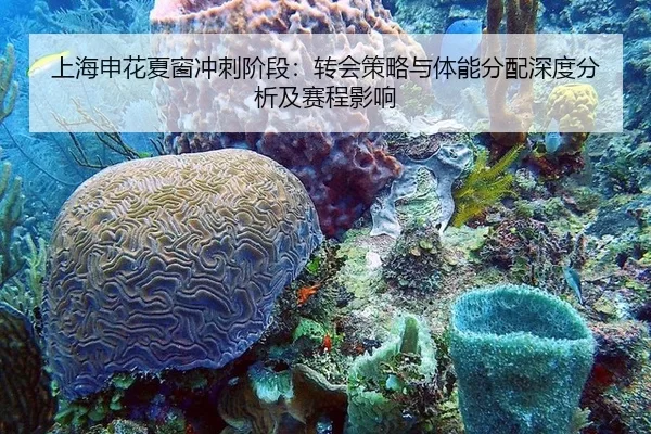 上海申花夏窗冲刺阶段：转会策略与体能分配深度分析及赛程影响